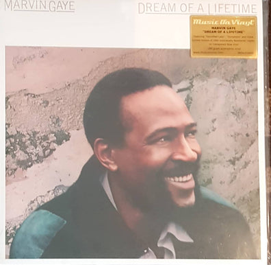 Marvin Gaye - Dream Of A Lifetime